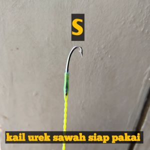 kail belut sawah model parrang siap pakai S