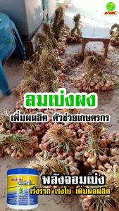 ขยายช่องว่างเม็ดดิน เพิ่มออกซิเจนในดิน ต้นพืชแข็งแรง ปุ๋ย ลมเบ่งผง1กระปุก ดูแลพืชผักสวนครัวให้สมบูรณ์ ชะรอการสลายตัวของปุ๋ยเคมี พืชกินปุ๋ยได้ 99%