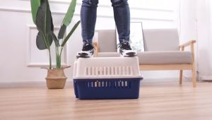 Lồng Hàng Không Chó Mèo Size 48x32x30cm Nặng 13kg Dành Cho Thú Cưng Dưới 6kg Chất Liệu Nhựa PP Và Thép Không Gỉ 3 Màu sắc: Đen Nâu & Xanh Đậm - Lồng Hàng Không Chó Mèo - Lồng Vận Chuyển Thú Cưng