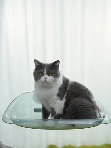 Marino เปลแมว เปลแมวติดกระจก  ที่นอนนอนแมวติดผนัง No.Y2151