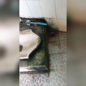 DAECLEAN PEMBERSIH AJAIB