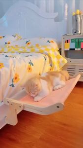 ที่นอนแมว ประหยัดพื้น ที่ ที่นอนแมว เปลแมวแบบแขวน เตียงแมว แข็งแรง ติดตั้งง่าย ที่นอนหลับสบาย ติดผนัง ที่นอนสัตว์เลี้ยง เปลสัตว์เลี้ยง เปลแมวแบบแขวน บ้านแมว ที่นอนสัตว์เลี้ยง ที่นอนแมวแบบแขวน  เปลสัตว์เลี้ยง เปลแมวแบบแขวน