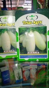 Benih Timun Suri Putih ALESHA | Benih Timun Suri | Biji Timun isi 10 gr TRIAS AGRO