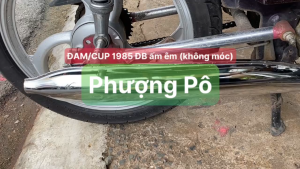 ⚡️FREESHIP⚡️ Pô đam chữ 1985 giá rẻ tiếng êm gắn 50 70 81 82 84 86 90 DD 67-DREAM-WAVE NHỎ