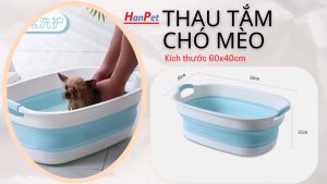 Thau tắm chó chậu tắm chó mèo gấp gọn