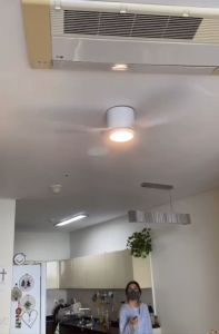 Quạt cho trần thấp: quạt trần trang 3 cánh - sang trọng cho chung cư phòng khách khách sạn quán cafe sapa - quạt có điều khiển từ xa 6 sô