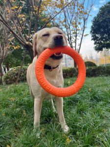 ของเล่นสุนัขของเล่นสุนัขของเล่นสุนัขพันธุ์ใหญ่สุนัขพันธุ์โกลเด้นรีทรีฟเวอร์ลาบราดอร์ของเล่นสุนัขที่น่าเบื่อของใช้สำหรับสัตว์เลี้ยง