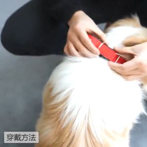 Pet Collar Nylon Collar Dog Collar Large Dog Collar