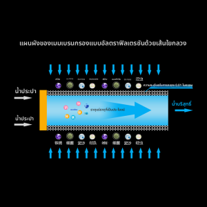 JINXIANQUAN | Máy Lọc Nước Uống Trực Tiếp Siêu Lọc Dùng Cho Gia Đình & Thương Mại