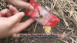 【พร้อมสต็อก|ส่งจากกทม】 กำจัดมด 10-50ถุง ยาฆ่ามด ฆ่าตายยกลัง เหยื่อมด ผงกำจัดมด ไม่เป็นอันตรายต่อมนุษย์