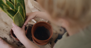 OGL ORGANIC POTTING SOIL