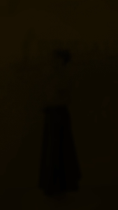 Brocade modern filipiniana - formal bolero top for woman