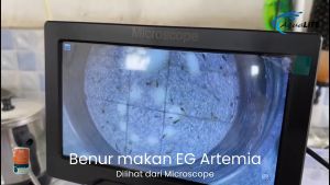 Digital Microscope 12MP 7 Inch 1-1200X Mikroskop LCD Display - Dengan Lampu