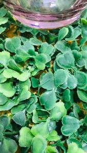 DELISOGA Color Pink Water Glasses Cocktail Glass Juice Cup Teacups (1PC/6PCS) Colorbox ES1132P