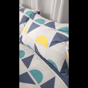 Ann Taylor Blissful Comforter Set | 700TC Super Soft Yarn Breathable & Cozy (Super Single / Queen / King)