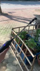 [NEW BẢO HÀNH 12 THÁNG] Vòi điện phun sương tưới cây cao cấp giúp làm vườn dễ dàng hơn sản phẩm mới nhất của năm 2026