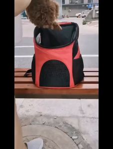 Ba lô vận chuyển Chó Mèo ba mặt lưới thoáng khí (mẫu mới)- Love Pets