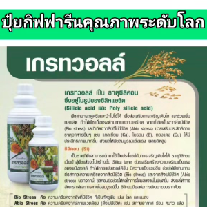 ปุ๋ย ปุ๋ยกิฟฟารีน ปุ๋ยทางใบ ปุ๋ยน้ำ ฮอร์โมนทางใบ เกรทวอลล์ giffarine ธาตุซิลิกอน เพิ่มความแข็งแรง ความทนทานให้กับเซลล์พืช เพิ่มผลผลิตไว ละลายน้ำง่าย ไม่อุดตันหัวฉีด ของแท้ ส่งฟรี
