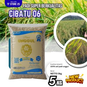 Benih padi cibatu 06 berkualitas dengan predikat tertinggi 100% original