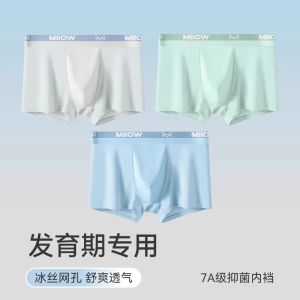 Ice Silk Boys Underwear Teenage Childrens Boxer Shorts Large Male Children Summer Development Period High School Boys Boxer Shorts