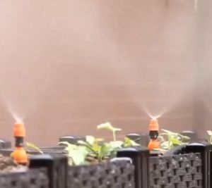 Diy อุปกรณ์สำหรับรดน้ําต้นไม้ ครบชุดพร้อม ท่อรดน้ําต้นไม้ ไมโคร ติดตั้งและใช้งาน