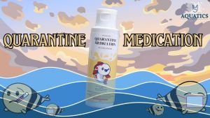 MDCP-MS AQUATICS Quarantine Medication Acriflavine Anti-septic Bath for Fish 60mL - Effective Treatment for Fin Tail Mouth Rot and Bacterial Infections