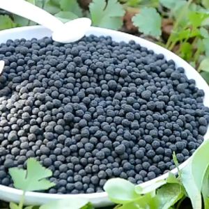 1KG Baja Organik NPK 888 Baja Kopi Coffee High Quality Organic Fertilizer Baja Bunga