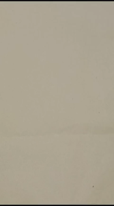 Flonel 100pcs Sachet Pearlized Transparant Front Ziplock - Kemasan Plastik Klip Putih Kombinasi Transparan