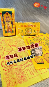 YMS Colorful Chinese Joss Paper 彩色往生功德金 迴向 (50张) 消灾解难 子孙兴旺 积功德 财运亨通 拜祖先 清明祭品 Praying Joss Paper