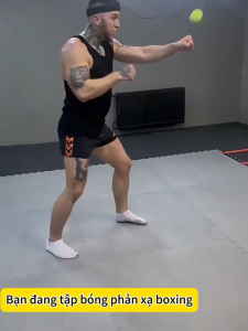 Bóng tập luyện boxing phản xạ – Rèn luyện tốc độ phản xạ và thể lực mọi lúc mọi nơi