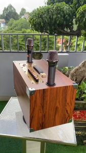 Loa Karaoke Mini MT P266 Bass đôi 17 Công Suất 250w Kết Nối Bluetooth Hát Cực Hay Kèm 2 Micro Không Dây Hút Tiếng Hát Nhẹ Bảo Hành 12 tháng