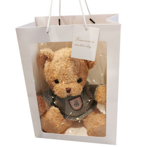 GUAIGUAIMAO | Customized Graduation Teddy Bear Plush Toy
