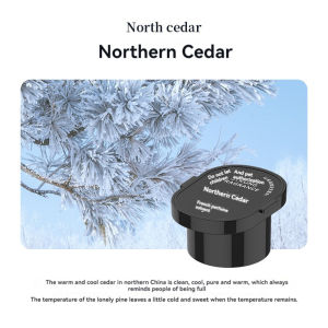 Haishan Cloud Smart car aromatherapy fashion new car perfume interior decoration decoration fragrance Rechargeable Air Freshener