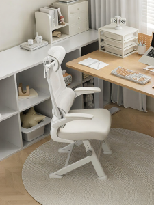 Hbada | Ergonomic Study Chair For Junior High School Students