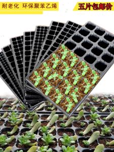 Rectangular PS Plug Seedling Tray Nursery Basin Plastic Seedling Box Vegetable Florals Watermelon Succulent Planting Plate Tray