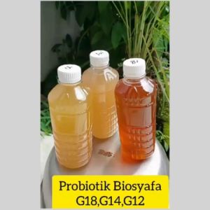 Paket Probiotik Alami: Solusi Kanker Choriocarcinoma untuk Wanita