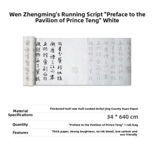 FUBIXING | Beginner Practice Calligraphy Copybook For Learning Chinese Calligraphy