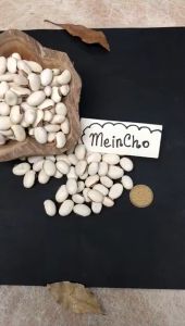 (5 biji) Kolase Biji Kara Koro Putih Benguk Kepuh Jangkang Kerajinan Properti Foto Dekorasi Rustik