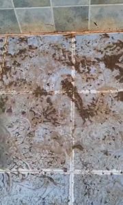 Chổi Cọ Nhà Tắm Cọ Sàn Gạt Kính Cán Dài 2 In 1 Siêu Đa Năng - Cây Cọ Sàn Nhà Tắm