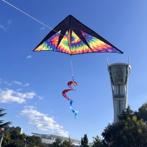 New Toys Rainbow kites toys for adults kites nylon kites weifang bird kite factory Outdoor snake kites beach kites ikitefly