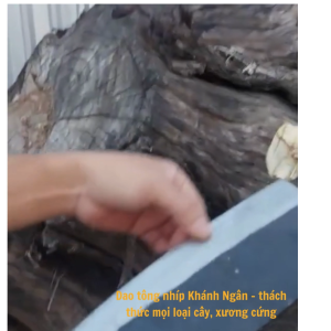 🔪🐟🦴Dao Tông Chặt Xương Chặt Cây Thép Nhíp Xe – Siêu Bền – Cán Sắt cầm Chắc Tay [KHÁNH NGÂN STORE]