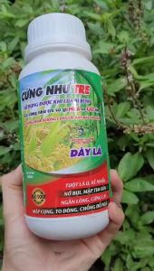 [Freeship Max] Phân bón lá CỨNG NHƯ TRE chuyên dùng lúa nếp mập cọng ngắn lóng cứng cây tuột lá ủ chống đổ ngã chai 500ml_VTNN TIEN KHOA