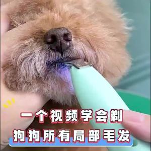 Fenice | Low Noise Pet Hair Trimmer for Paws