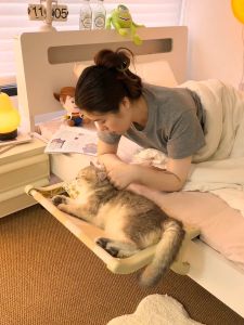 Detachable And Washable Cat Bed Window Side Sunbathing Pet Bed All Season Universal Cat Hammock Removable Moisture Proof