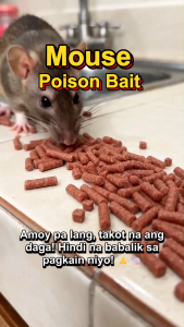 【BUY 5 TAKE 5】 Rat Killer Rat Poison Dont Die in the Room Rodenticide Lason Sa Daga Mouse Rat Repellent Mouse Fast-Acting Rat Bait 100% Effective Rat Repellant Rat Killer For Home Rat Poison For Big Rats Mouse Repellent Pellets