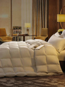 KANGERXIN | Canada Goose Down Comforter Spring Autumn