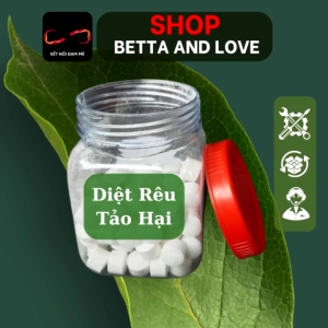 Vi Sinh Trắng 100 Viên – Giải Pháp Lý Tưởng Cho Hồ Cá Luôn Trong Sạch & Ổn Định