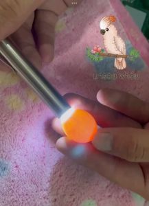 สมุทรปราการ ไฟส่องไข่ ไฟฉาย LED ไฟฉายส่องไข่ ไฟฉาย ไฟส่องไข่ ส่องไข่เขื้อ ไข่ไก่ ไข่เป็ด, เลือก กระเป๋า USB