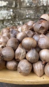 Black Garlic Tunggal Manika 1 Kg Bawang Hitam Lanang Kualitas Premium