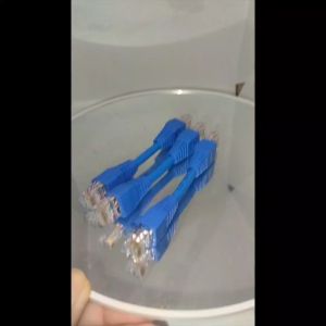 Kabel LAN Server CAT 6 Gigabyte CommScope Biru